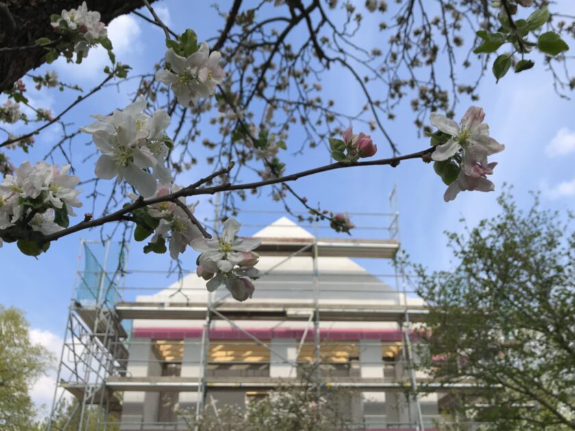 Rohbau hinter Apfelblüten